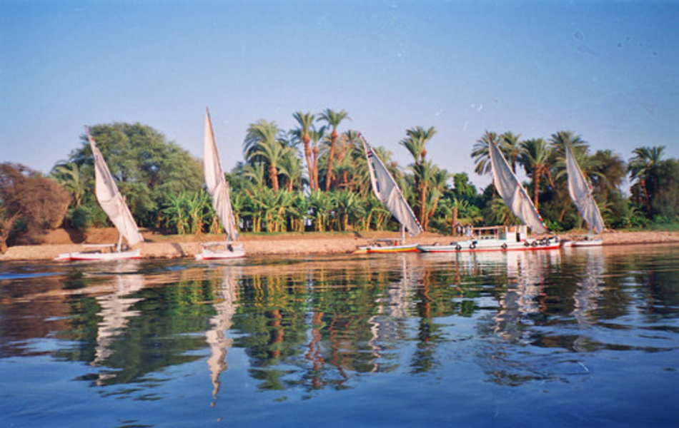 Luxor & Aswan Trips 